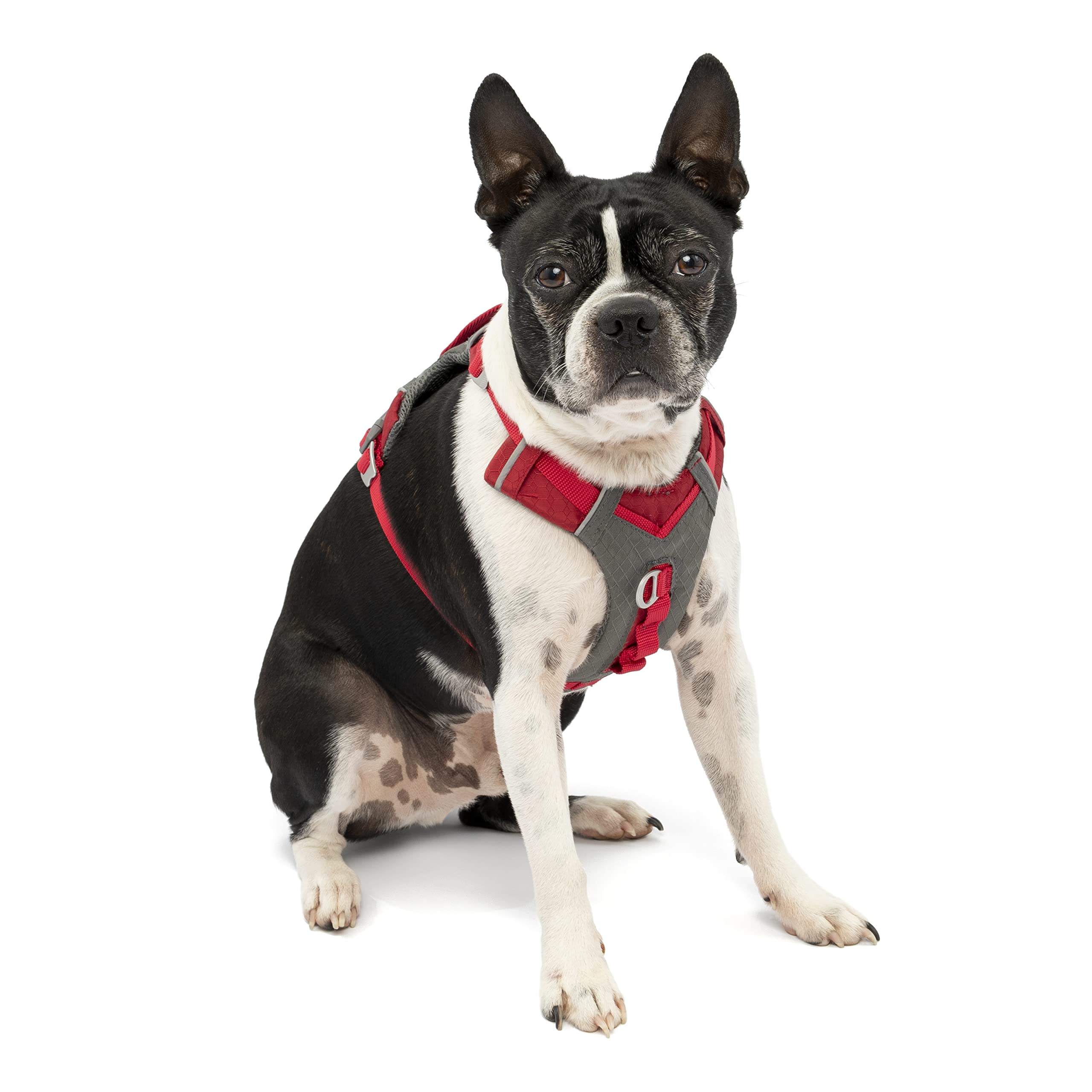 Kurgo K01937 Reflective Dog Harness for Small, Medium & Large Active Dogs - Breathable Journey Air Pet Harness for Hiking, Running & Walking - Red/Grey (2018 Model) - Perfect for Outdoor Adventures & Daily Use