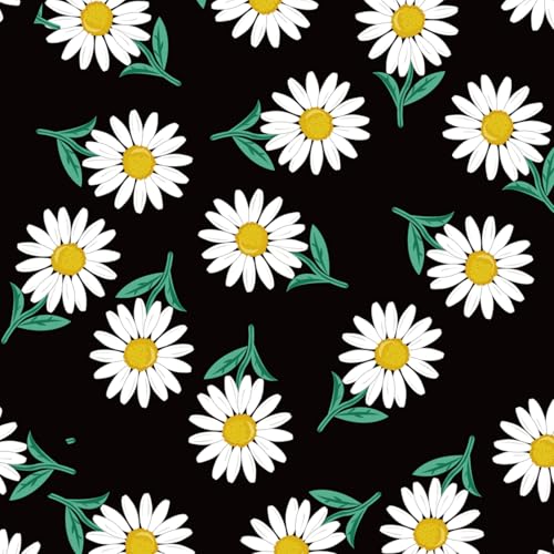 Black Daisy