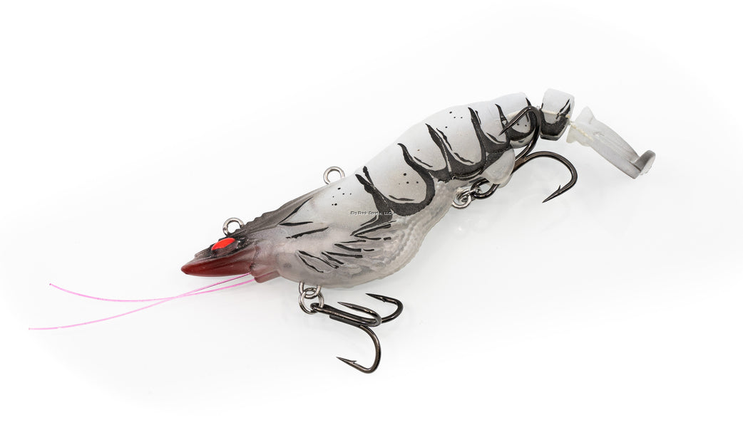 Bleeding Prawn