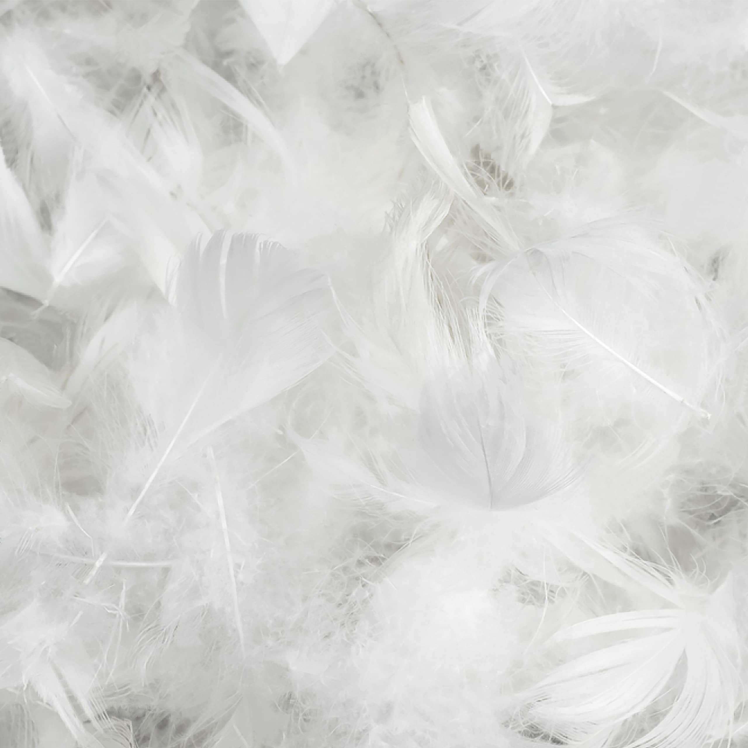 100pcs White Feathers for DIY Crafts, Wedding Decorations, Party Supplies & Home Decor - Perfect for Centerpieces, Gift Wrapping, and Costume Accessories