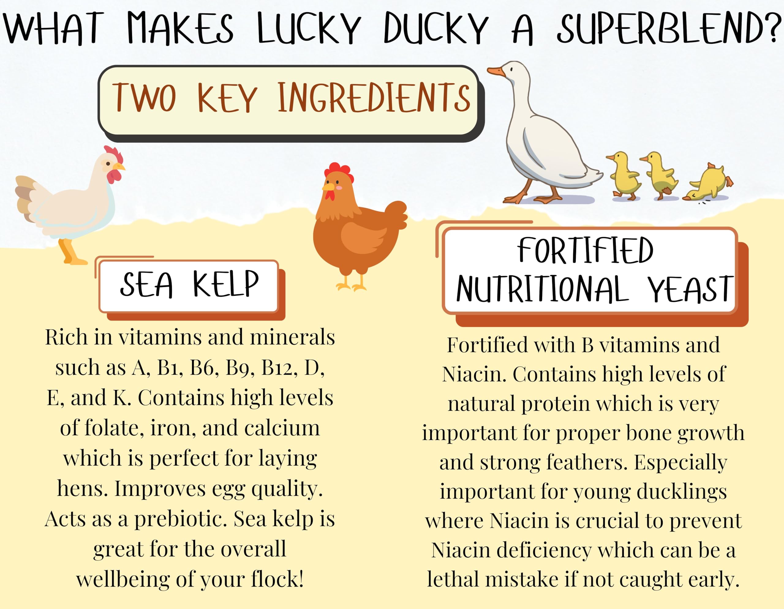 Premium Poultry Superblend with Nutritional Yeast, Niacin, Sea Kelp, Herbs & Vitamins - Duck & Chicken Supplement for Niacin Deficiency & Immune Support - Ideal for Backyard Flocks, Duck Health & Chicken Wellness