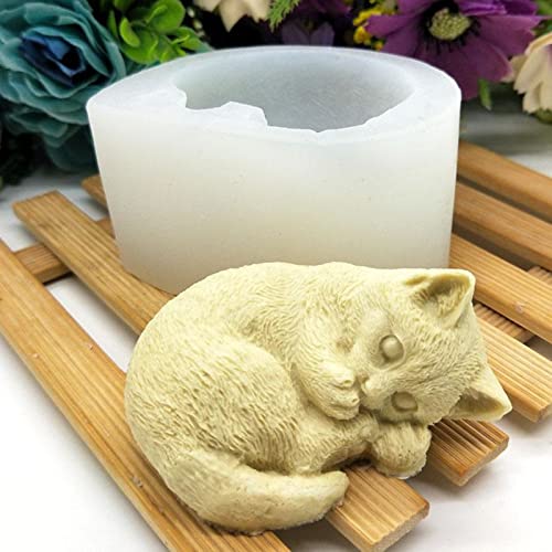 soap-cat-sleep