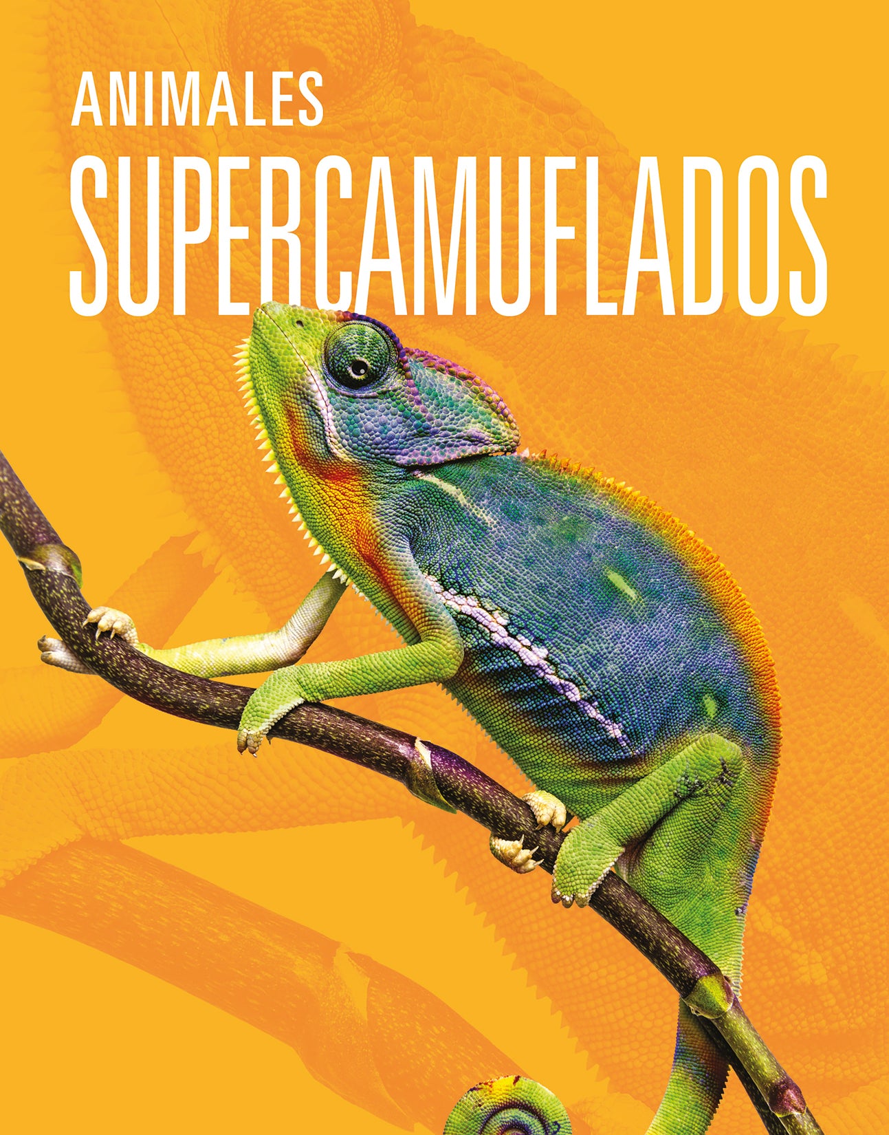 Best Camouflaged Animals - Discover Nature's Masters of Disguise | Perfect for Wildlife Enthusiasts & Nature Photography