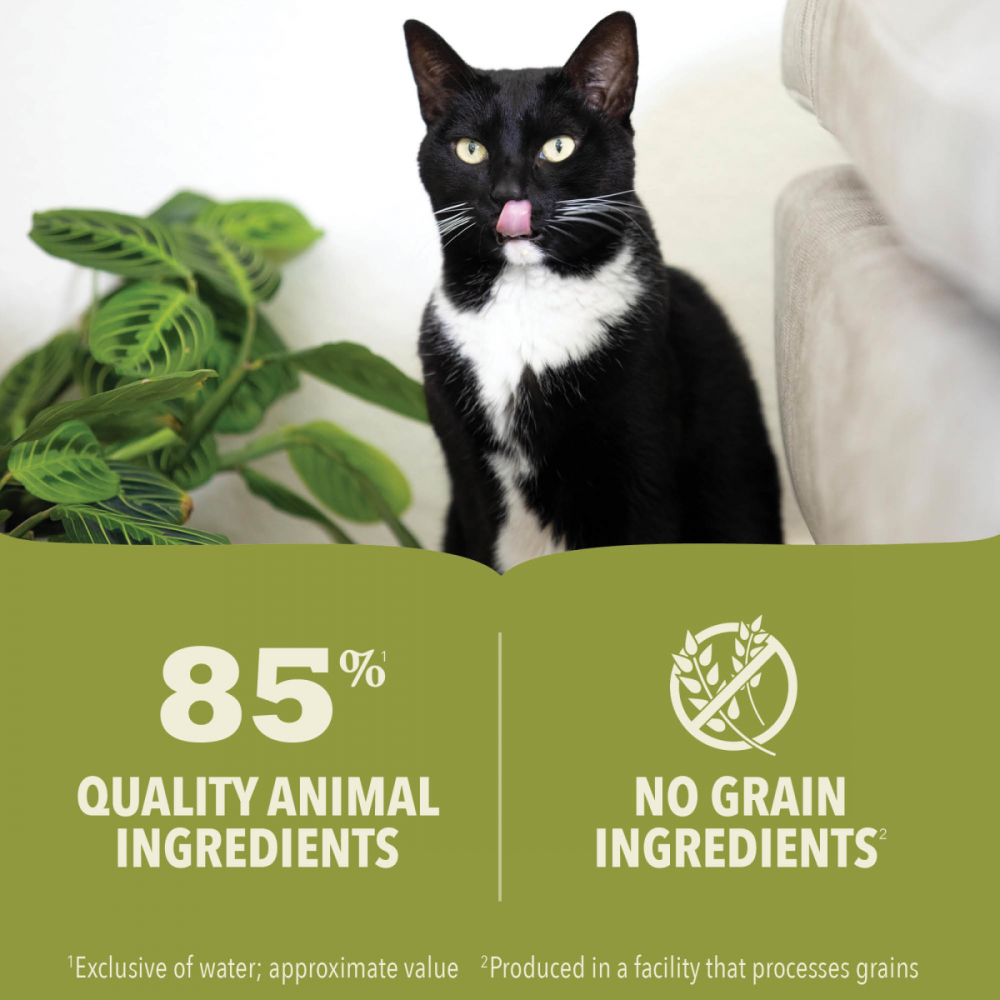 ACANA Premium Chicken & Fish in Bone Broth - Grain-Free Wet Dog Food for Puppies & Adult Dogs - High Protein, Natural Ingredients - Perfect for Mealtime & Training Rewards