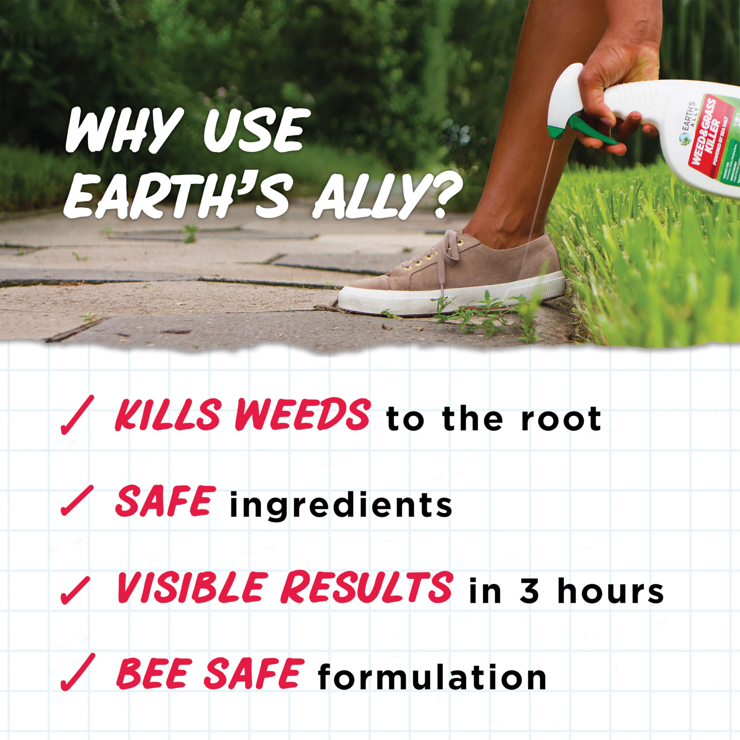Earth's Ally Pro Weed and Grass Killer 12 Pack - 1.25lb Powder Concentrate | Makes 12 Gallons | Pet & Bee Safe Natural Weed Control Spray for Patios, Driveways, Sidewalks & Gardens | Organic Herbicide for Home & Commercial Use