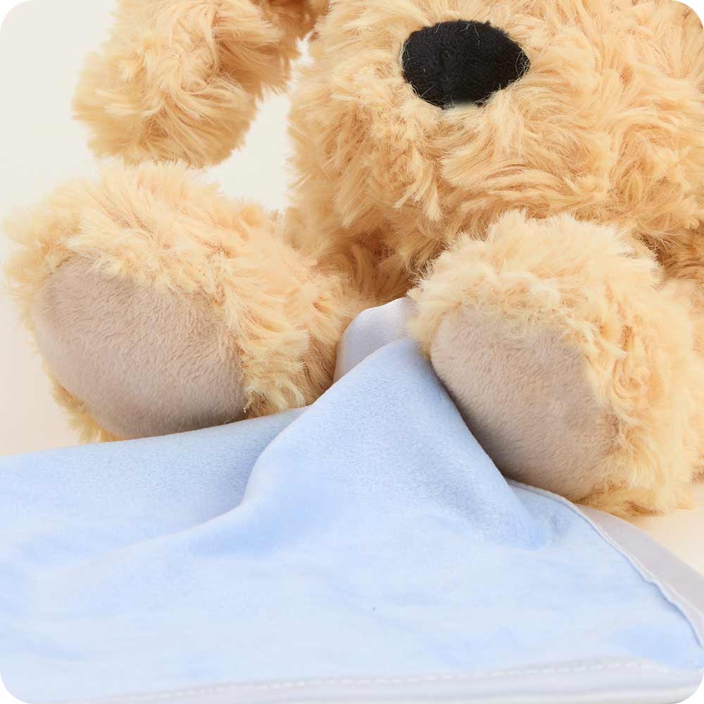 Golden Dog Blanket for Pets - Ultra Soft & Warm Fleece Pet Blankie - Perfect for Dogs, Cats, and Small Animals - Cozy Bedding for Winter Nights & Cuddling