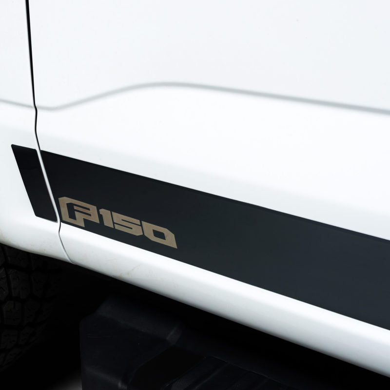 10pcs 4.25in Wide Stainless Steel Rocker Panels for 2021-2024 Ford F-150 Truck | Durable Rust Protection & Style Upgrade | Perfect for Off-Roading & Daily Driving