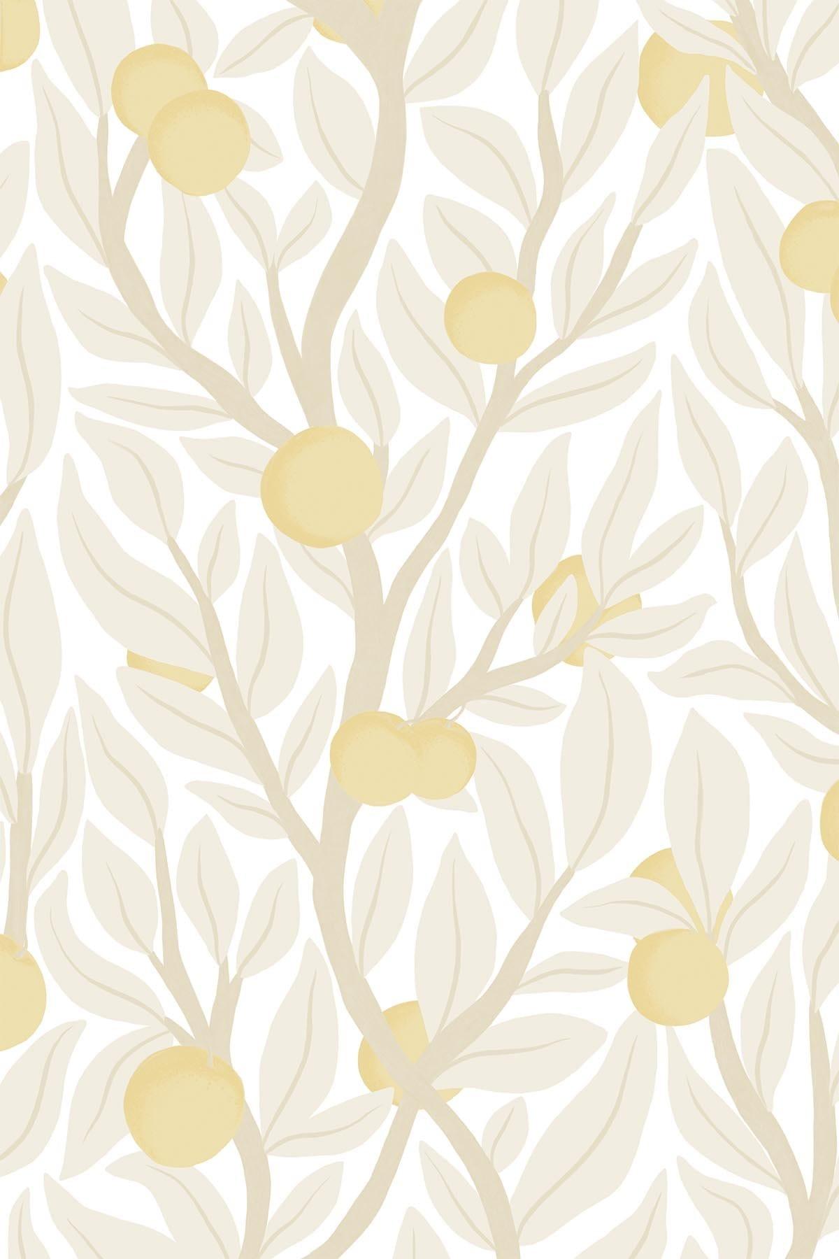 Premium Citrus Tree with Pale Yellow Fruits - Perfect for Home Gardens, Landscaping & Fresh Organic Harvest