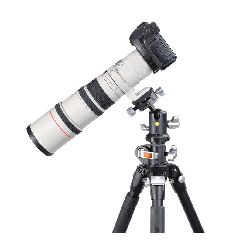 VEO BH 160S Dual Axis Ball Head for DSLR Camera - Professional 360° Panoramic Photography Tripod Head with Quick Release Plate - Perfect for Landscape, Architecture & Astrophotography