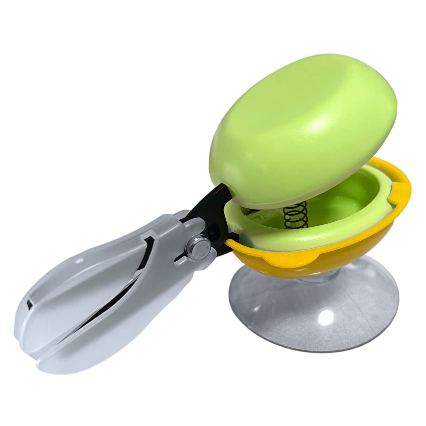 HARAC Spring Loaded Table Top Scissors with Base - Adaptive Safety Push Down Scissors for Special Needs & Ambidextrous Training - Made in Japan (Green) - Ideal for Classroom, Therapy & Home Use