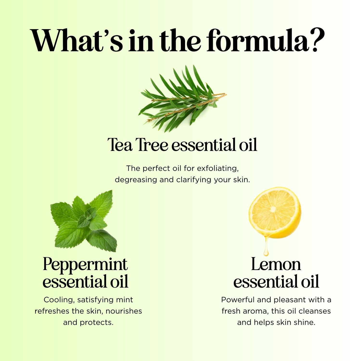 Tea Tree Body Wash for Acne & Oily Skin - Natural Antifungal & Antibacterial Shower Gel for Men & Women - Perfect for Daily Cleansing & Post-Workout Refreshment