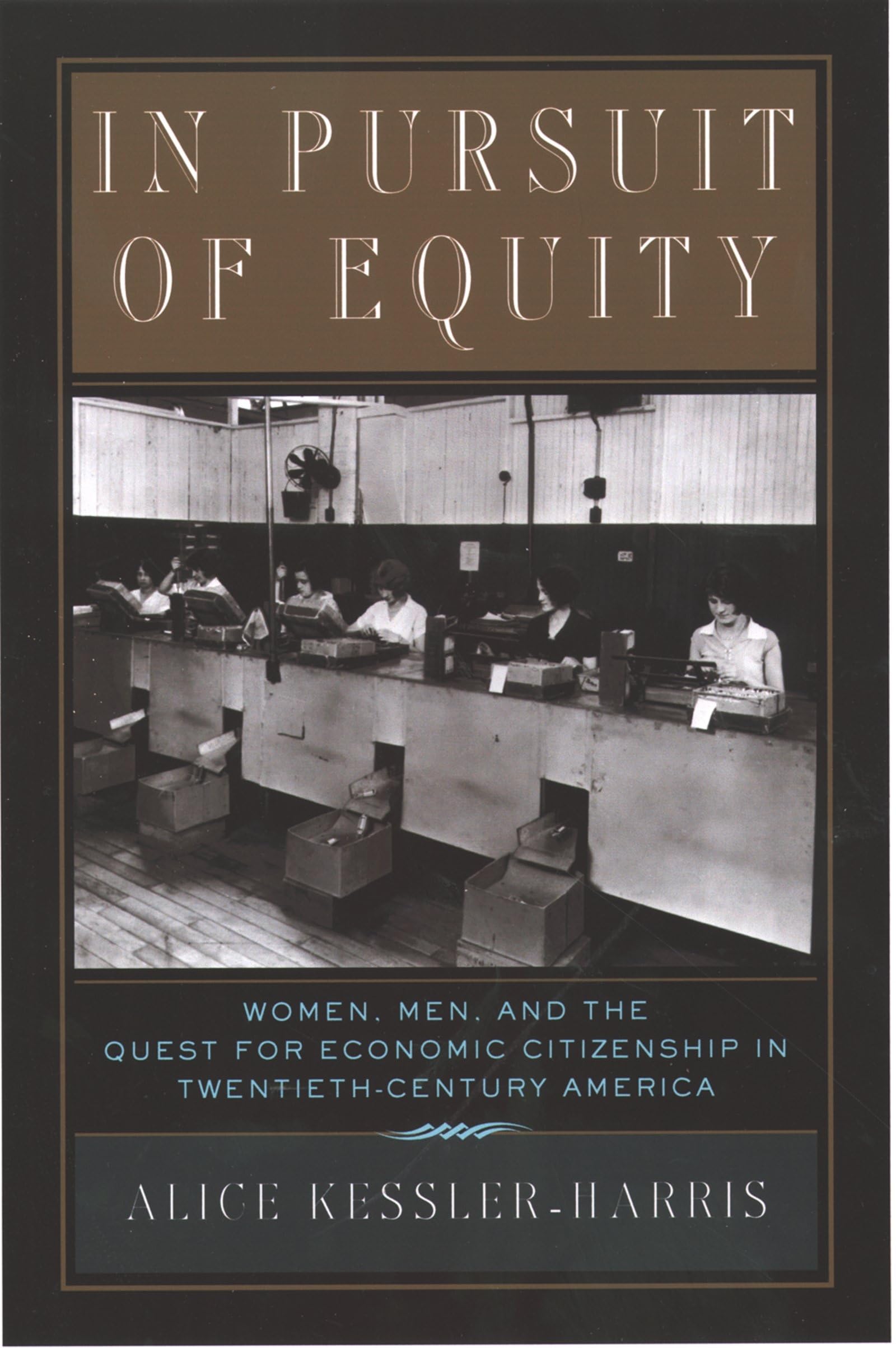 Pursuit of Equity: Women, Men & Economic Citizenship in 20th Century America | Gender Equality History Book | Perfect for History Classes & Women's Studies