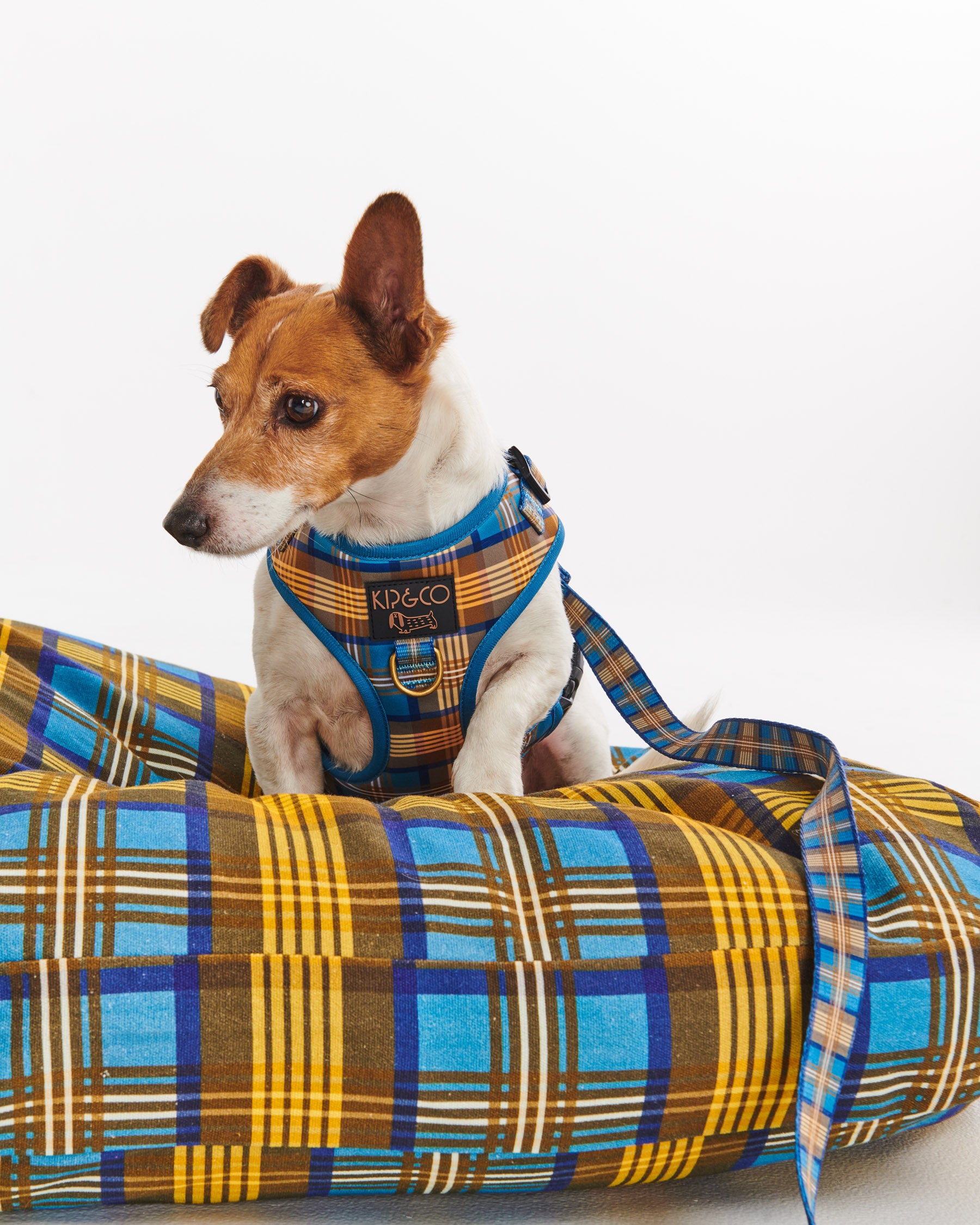 Cozy Tartan Dog Harness - Adjustable Soft Plaid Pet Vest for Small & Medium Dogs - Perfect for Walking, Hiking & Outdoor Adventures