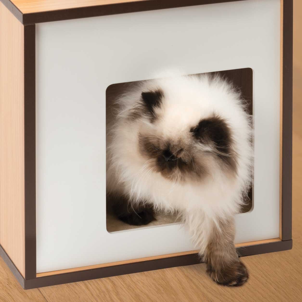 Premium Walnut Vesper Cat Tree & Scratching Post with Cozy Cat Box - Perfect for Small Spaces, Indoor Cat Play & Relaxation