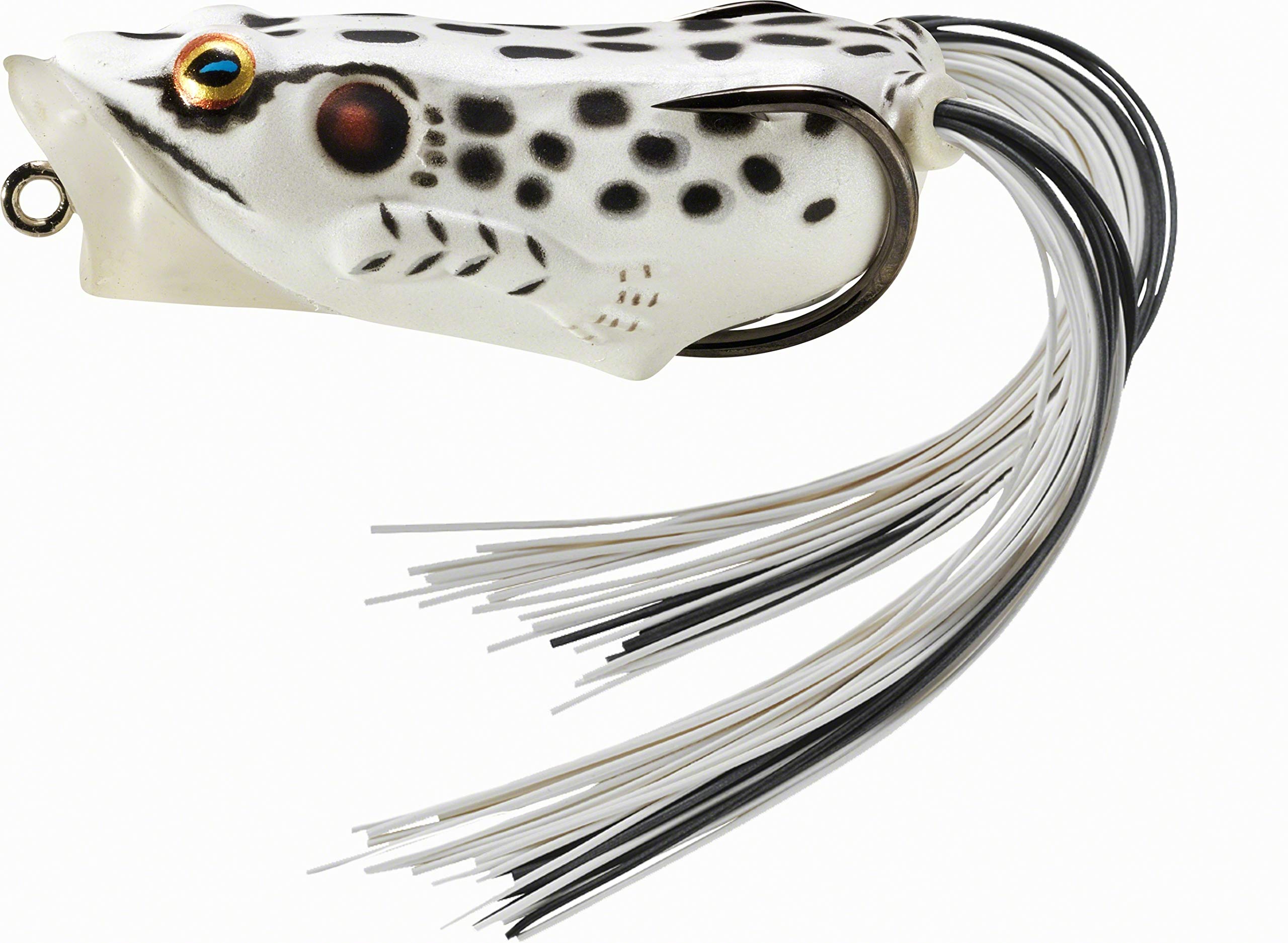 LIVE TARGET Hollow Body Frog Popper - Topwater Fishing Lure for Bass, Pike & Musky - Perfect for Weedless Fishing in Lakes & Ponds