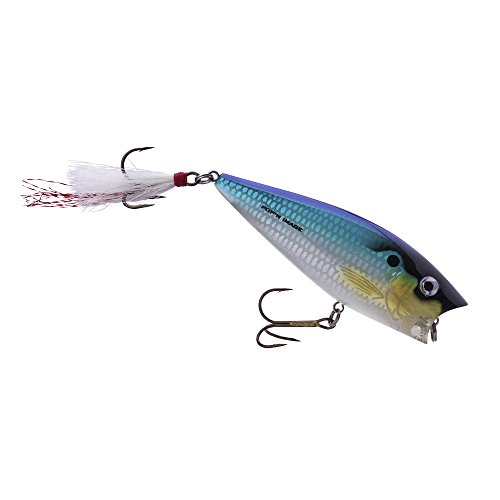 Threadfin Shad