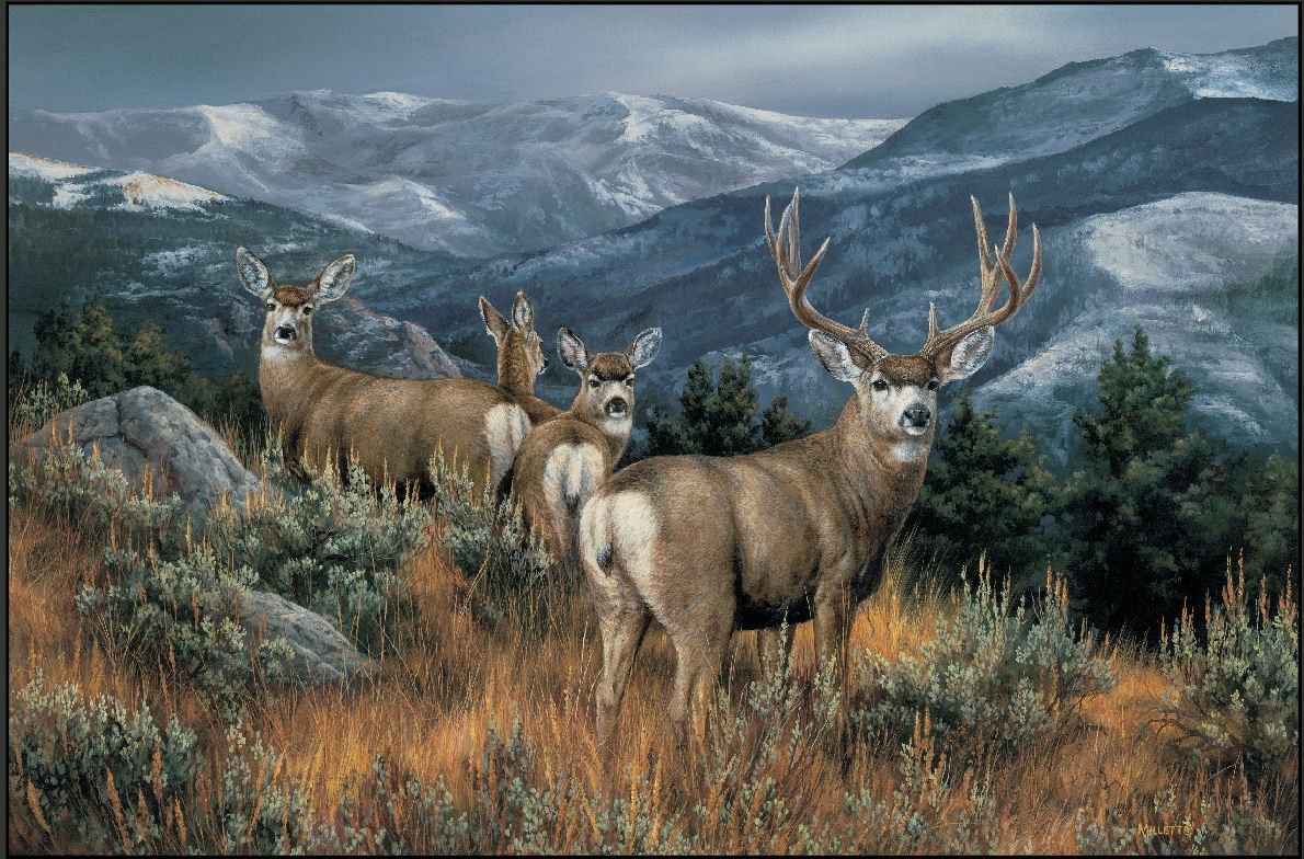 Last Glance Mule Deer Doormat - Non-Slip Welcome Mat for Front Door, Porch & Entryway - Western Home Decor for Cabin, Ranch & Hunting Lodge