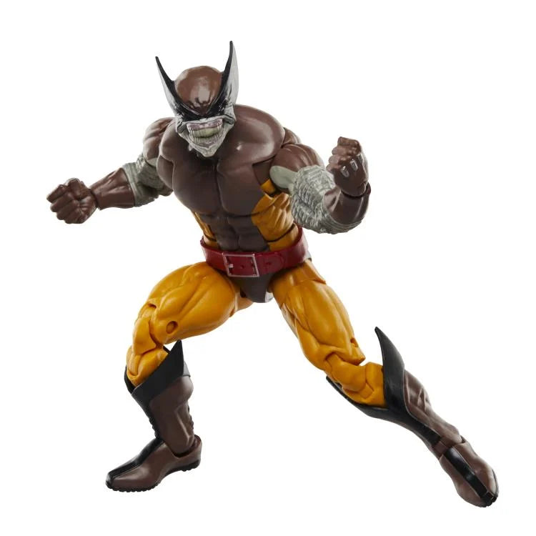 Marvel Legends Wolverine & Lilandra Neramani 2-Pack - 50th Anniversary Edition - Action Figures for Collectors & Marvel Fans - Perfect for Display & Comic Book Scenes