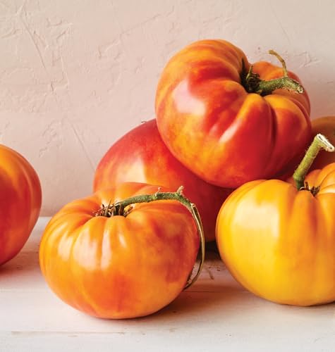 Big Rainbow Heirloom