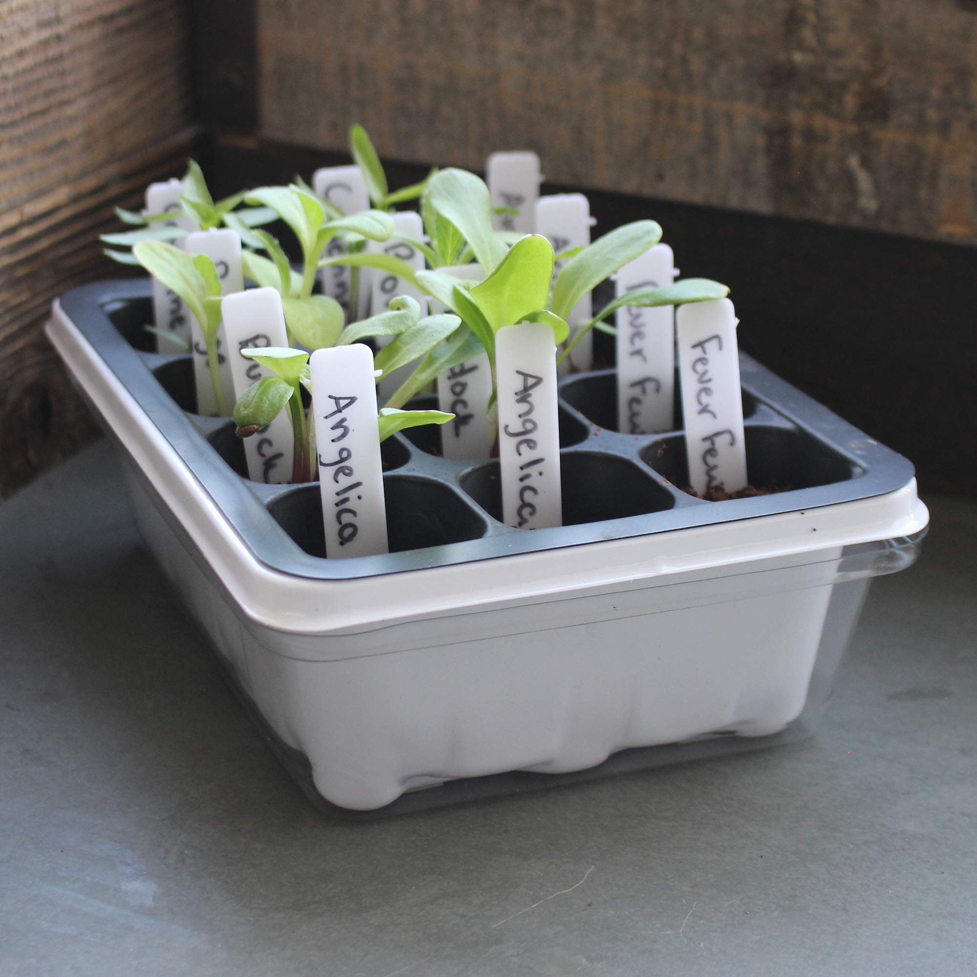 12-Cell Seed Starter Tray Set with Dome - 5 Pack for Gardening & Greenhouse