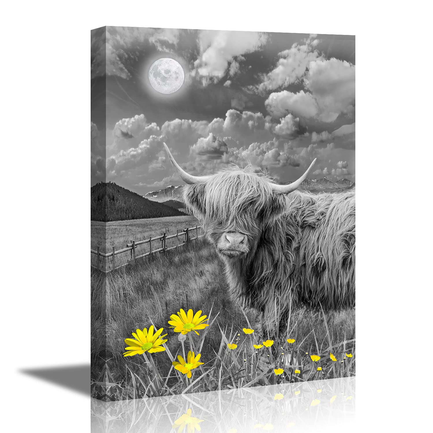 Highland Cow Wall Art - Rustic Canvas Prints for Bathroom & Bedroom Decor - Yellow Cow Pictures 20x28 Inches - Perfect for Farmhouse, Country Style Home & Office Wall Decor