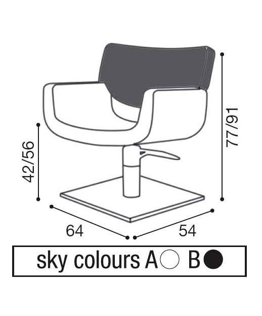Qudro Professional Salon Styling Chair - Adjustable Hydraulic Hairdressing Chair for Barber & Beauty Salon - Perfect for Haircuts, Styling & Makeup