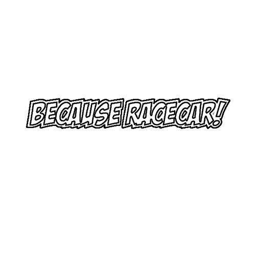 EW Designs Because Racecar Die-Cut Vinyl Decal - JDM Bumper Sticker for Cars & Trucks (5 Inch) - Perfect for Automotive Enthusiasts, Racing Events & Vehicle Customization