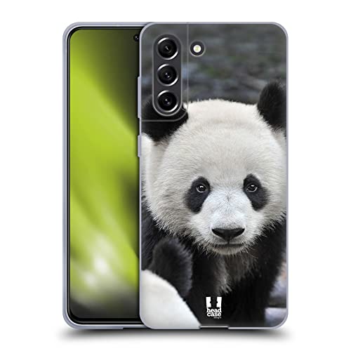 Close-Up Panda