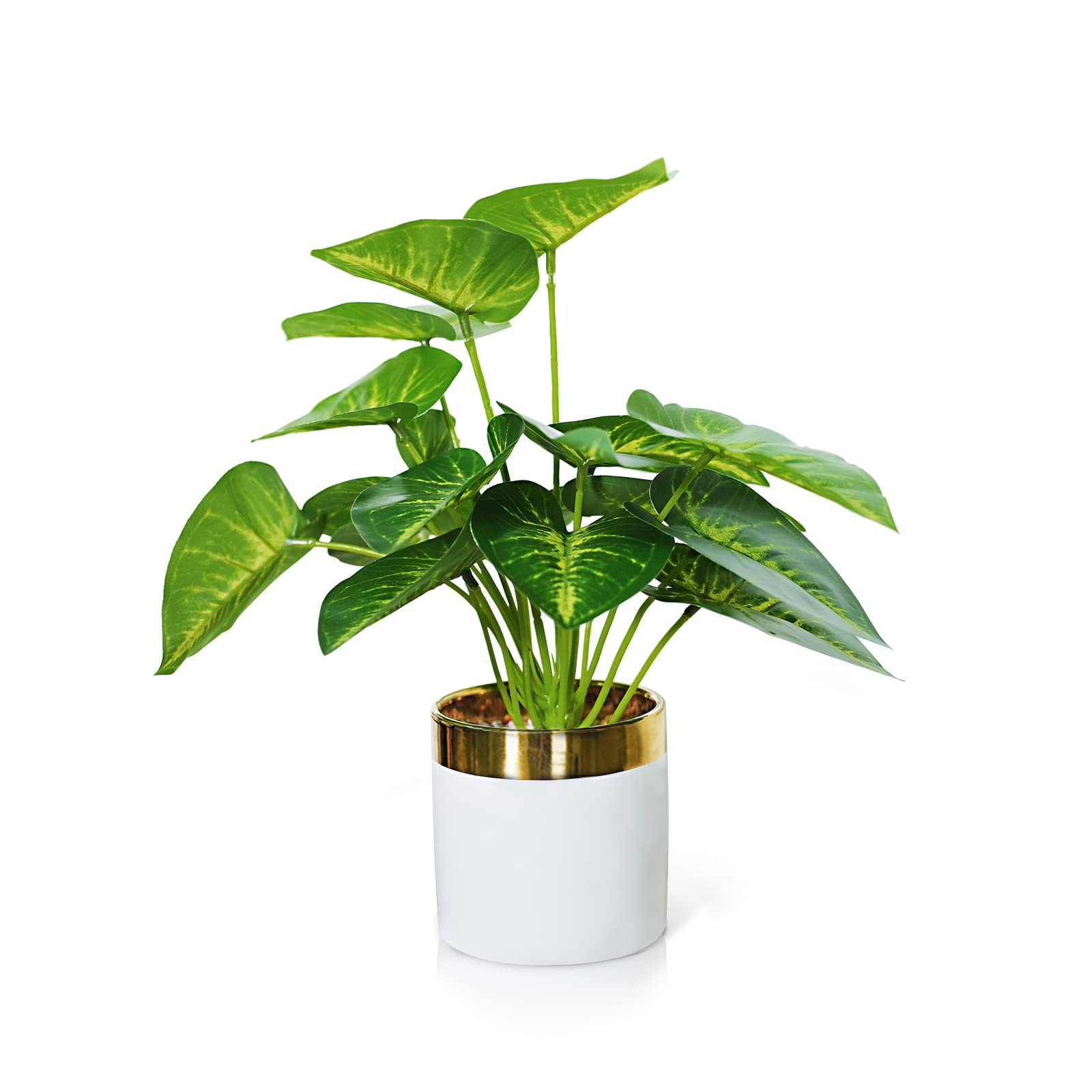 Artificial Faux Succulent Plants in Decorative Pots - Small Plastic Fake Greenery for Home, Office Desk, Window Sill, Bathroom & Bedroom Decor - Perfect for Indoor & Outdoor Use