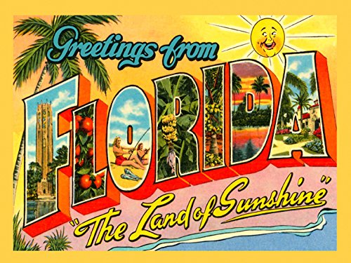 Vintage Florida Sunshine State Travel Poster - 12