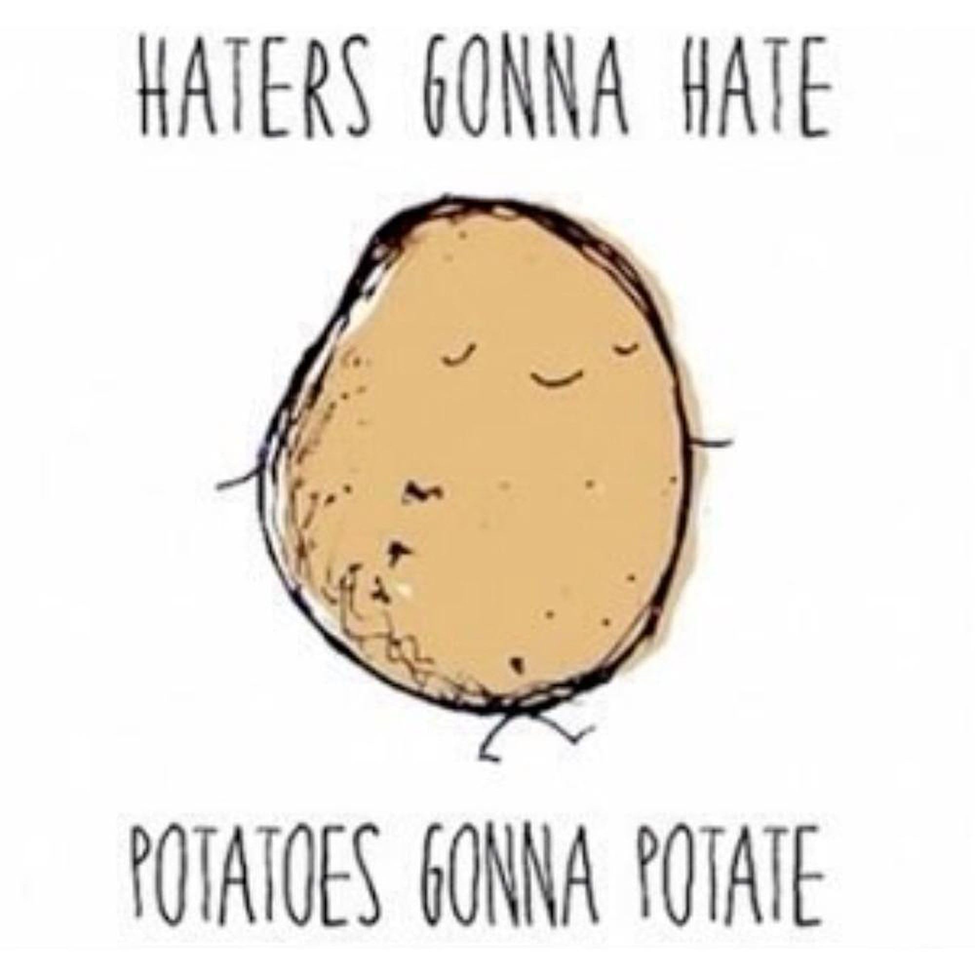 Haters Gonna Hate Potatoes Gonna Potate 11 oz Ceramic Coffee Mug - Funny Novelty Tea Cup for Office, Home & Gifts (325ml)