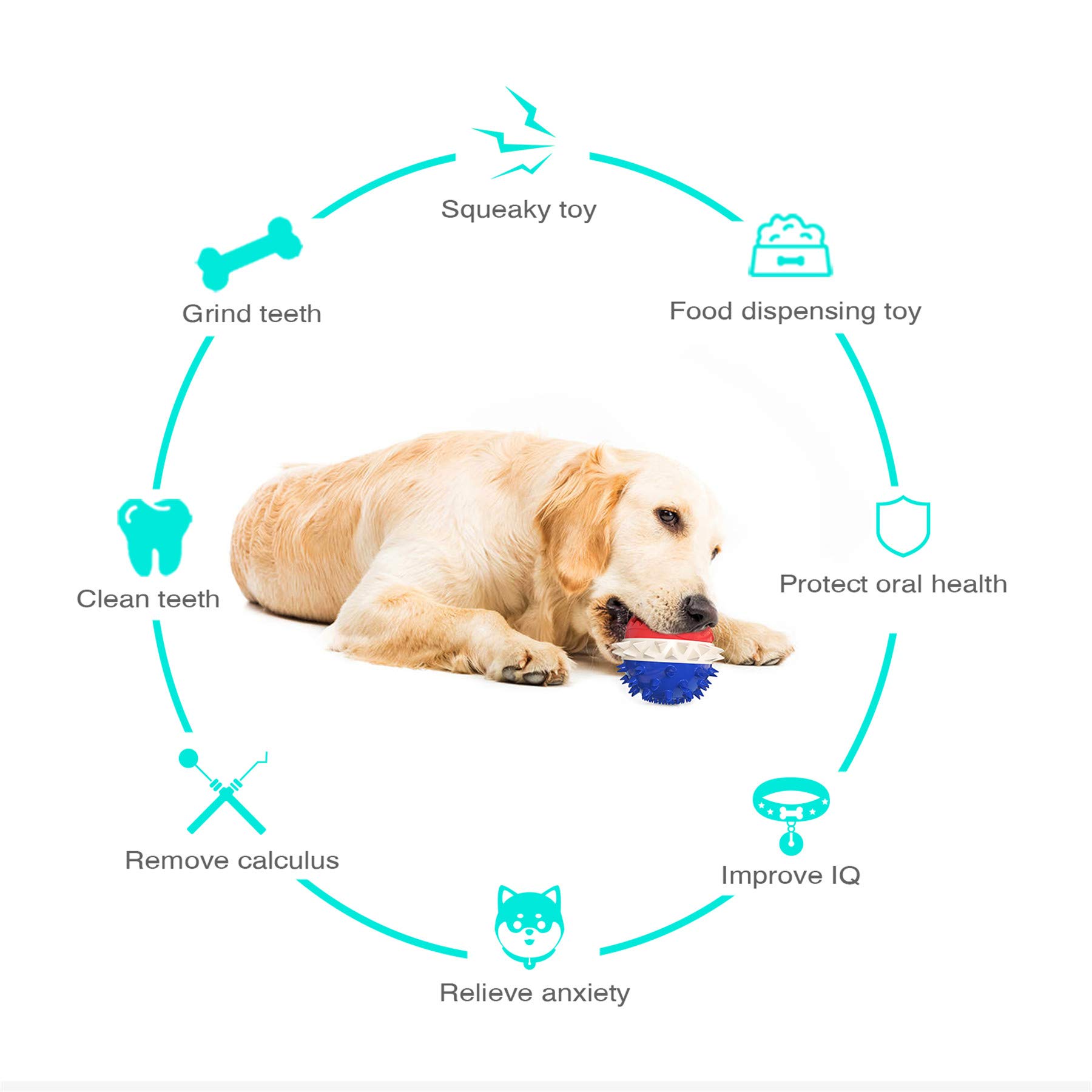 Avaner Interactive Squeaky Dog Chew Toy with Treat Dispenser - Food Leaking Ball for Puppy Training & Teeth Cleaning - Perfect for Playtime, Boredom Relief & Mental Stimulation