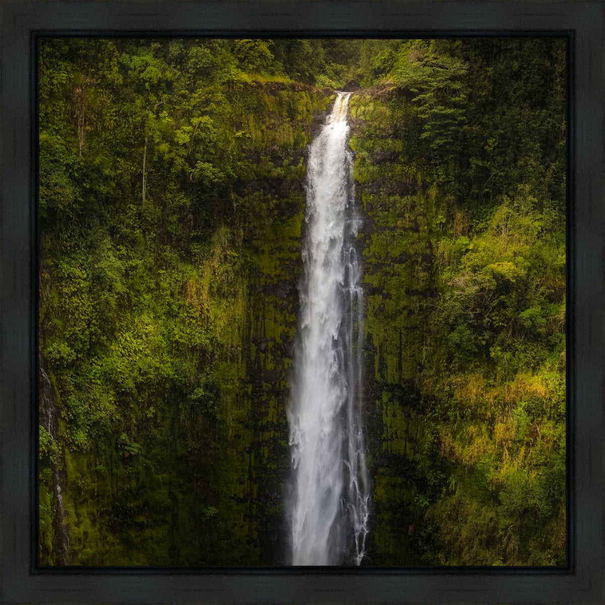 Stunning Akaka Falls Hawaii Wall Art - Premium Gallery Wrap Canvas Print for Home & Office Decor | Perfect for Living Room, Bedroom, or Gift Idea