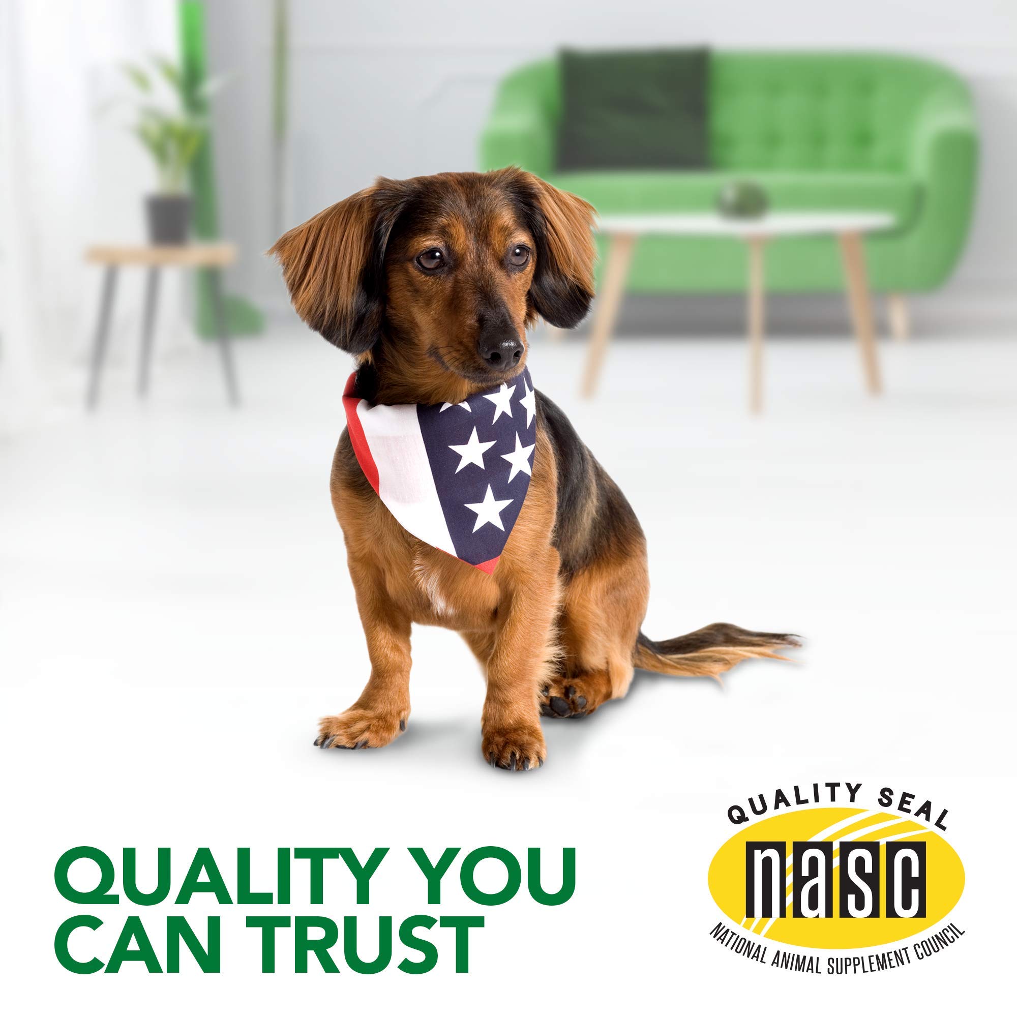 Vet's Best Seasonal Allergy Soft Chew Dog Supplements for Itchy Skin Relief - Supports Healthy Histamine Levels - 90-Day Supply for Medium to Large Dogs - Perfect for Outdoor Activities and Allergy Season Comfort
