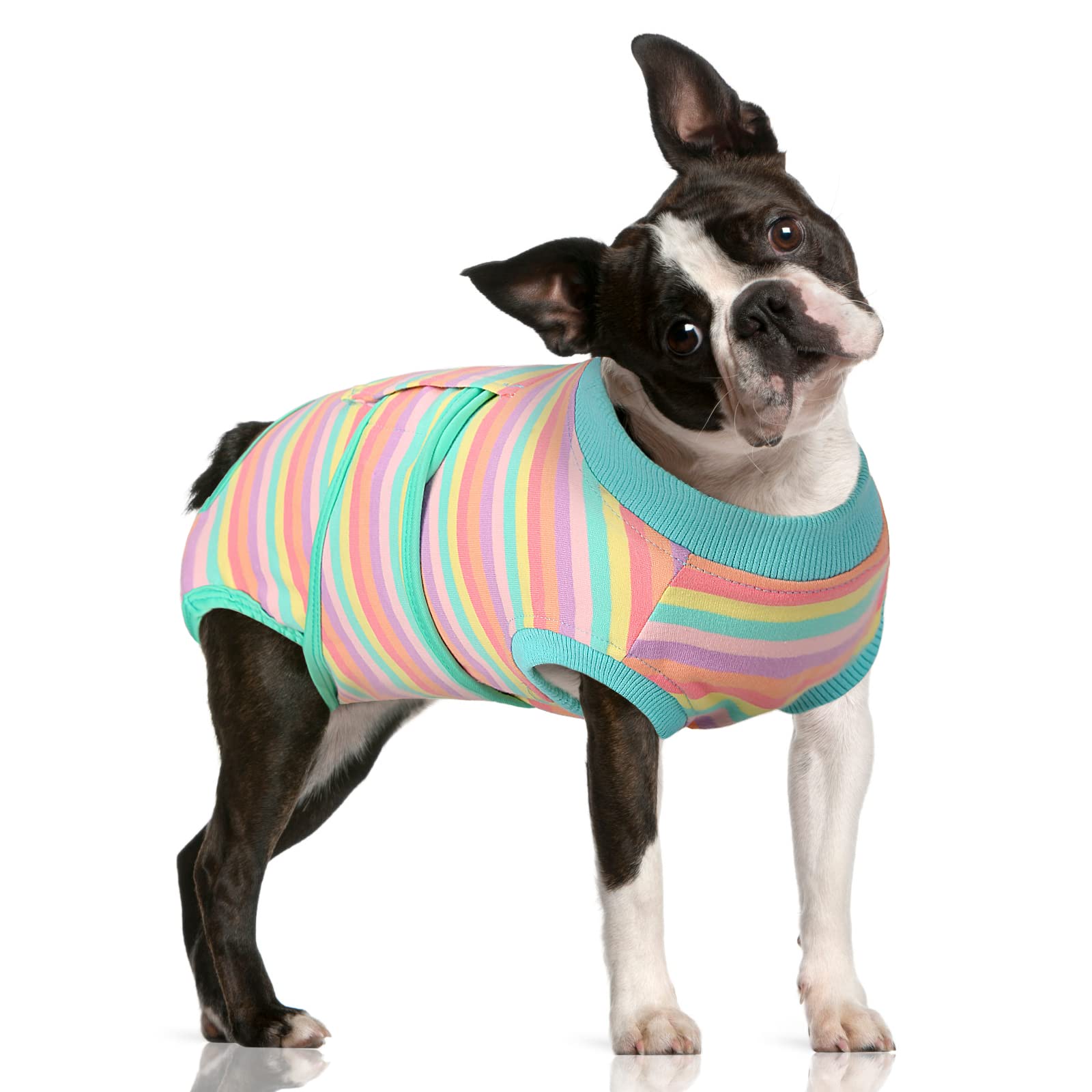FUAMEY Post-Surgery Recovery Suit for Dogs - Breathable Dog Bodysuit Alternative to E-Collar & Cone - Male/Female Spay Neuter Suit Prevents Licking Wounds - Mint Green Striped Onesie - Perfect for Post-Op Care, Wound Protection & Comfortable Healing