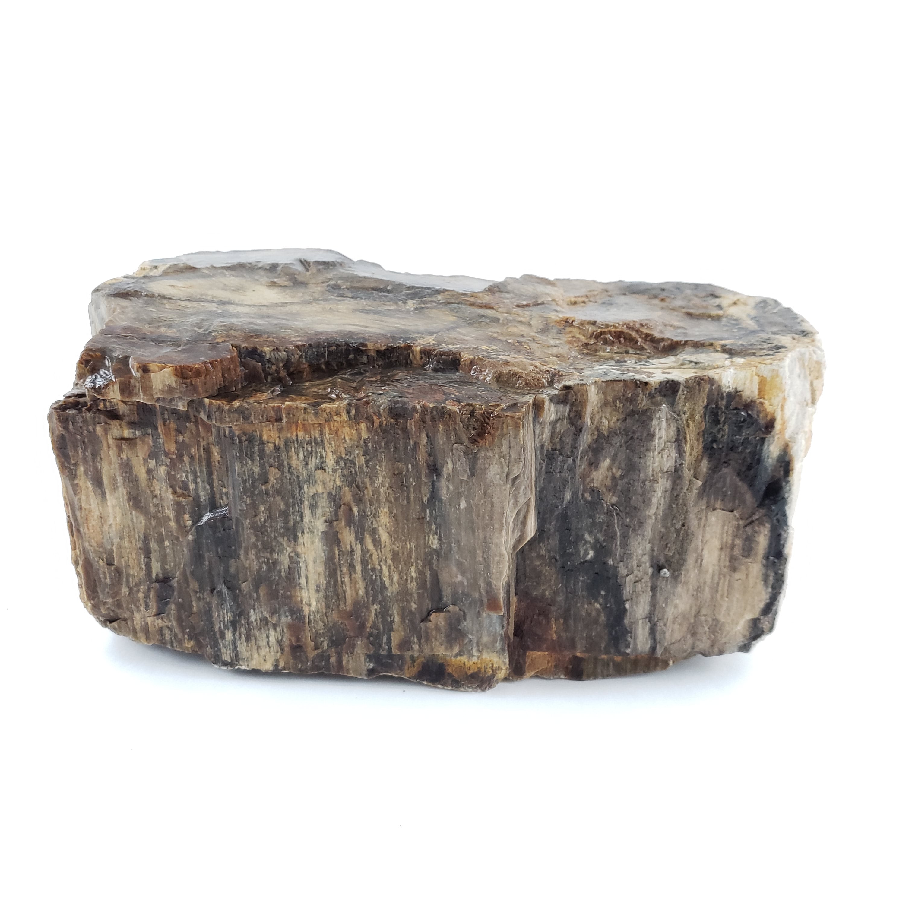 Natural Canyon Petrified Stone Kit - 25 Gallon with 1 Large, 2 Medium & 6 Small Rocks for Landscaping, Aquarium & Home Decor