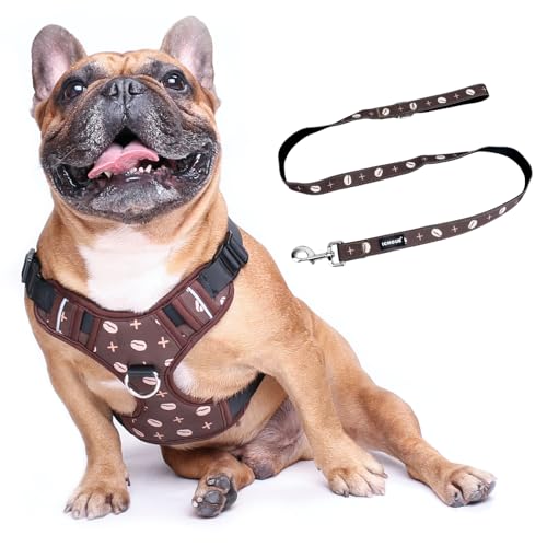 Coffee Bean Vest Harness with Leash