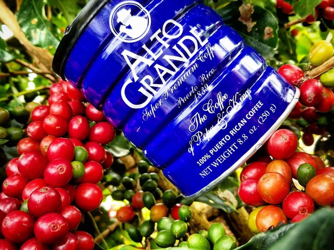 Alto Grande Super Premium Ground Coffee - 8.8oz (9 Cans) - Gourmet Coffee for Home, Office & Gifting - Rich Aroma & Smooth Taste