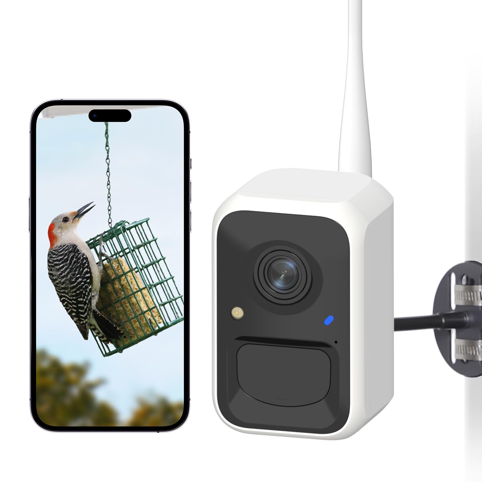 NETVUE by Birdfy Smart Bird Feeder Camera with AI - Auto Bird Video Capture, 6000+ Species Identification, Adjustable Brackets & Instant Notifications - Perfect for Backyard Bird Watching & Wildlife Monitoring