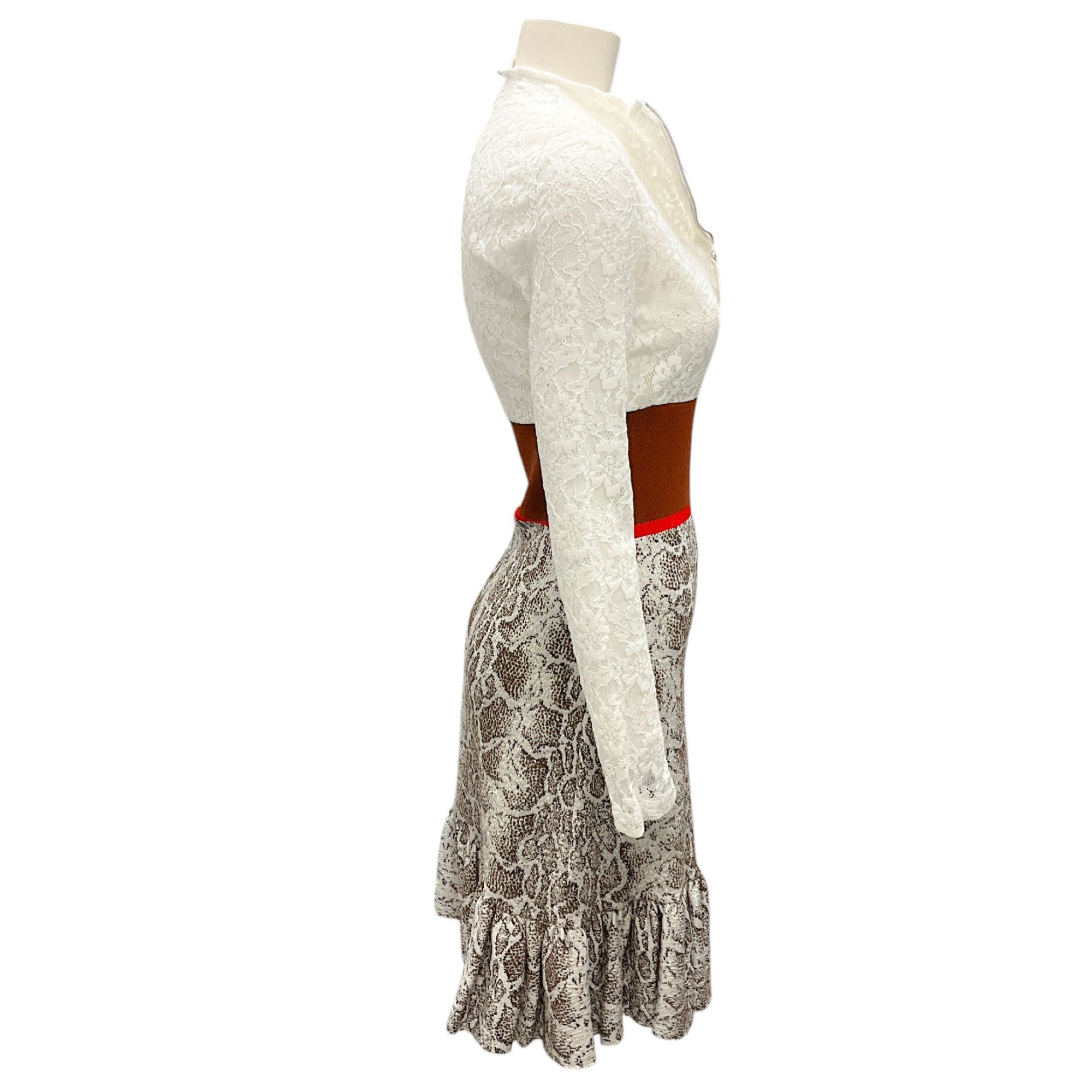 Chloe Multicolor Brown Python Jacquard Knit Lace Long Sleeve Dress - Elegant Evening Wear for Parties & Special Occasions