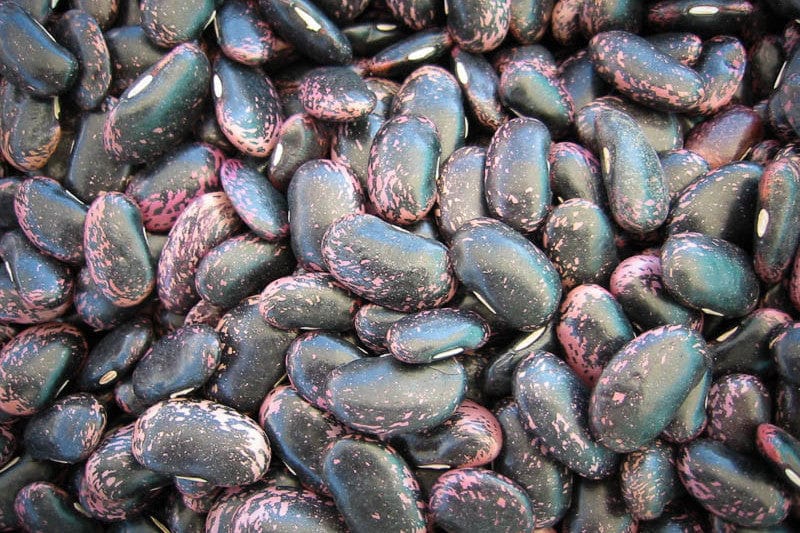Rancho Gordo Scarlet Runner Beans - 1 lb Bag | Premium Heirloom Dried Beans for Soups, Stews & Chili | Non-GMO, Organic, Vegan-Friendly