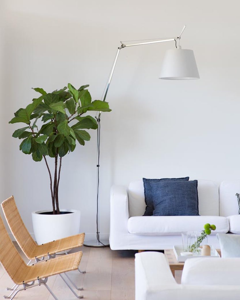 Modern Kawa Floor Lamp - Adjustable LED Standing Light for Living Room, Bedroom & Office - Warm White & Cool White Dimmable Lighting - Perfect for Reading, Relaxing & Decorating