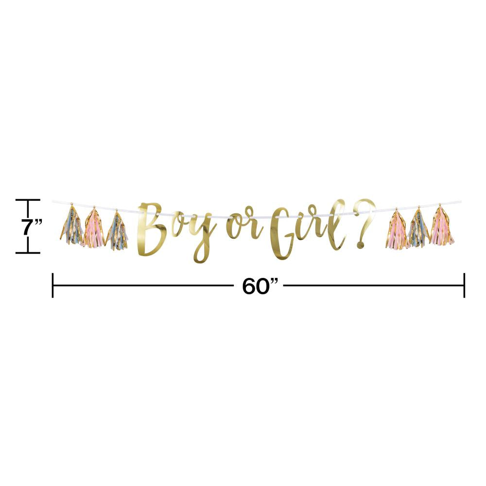 Pink, Blue & Gold Gender Reveal Tassel Banner - Perfect for Baby Shower Decorations & Gender Announcement Parties