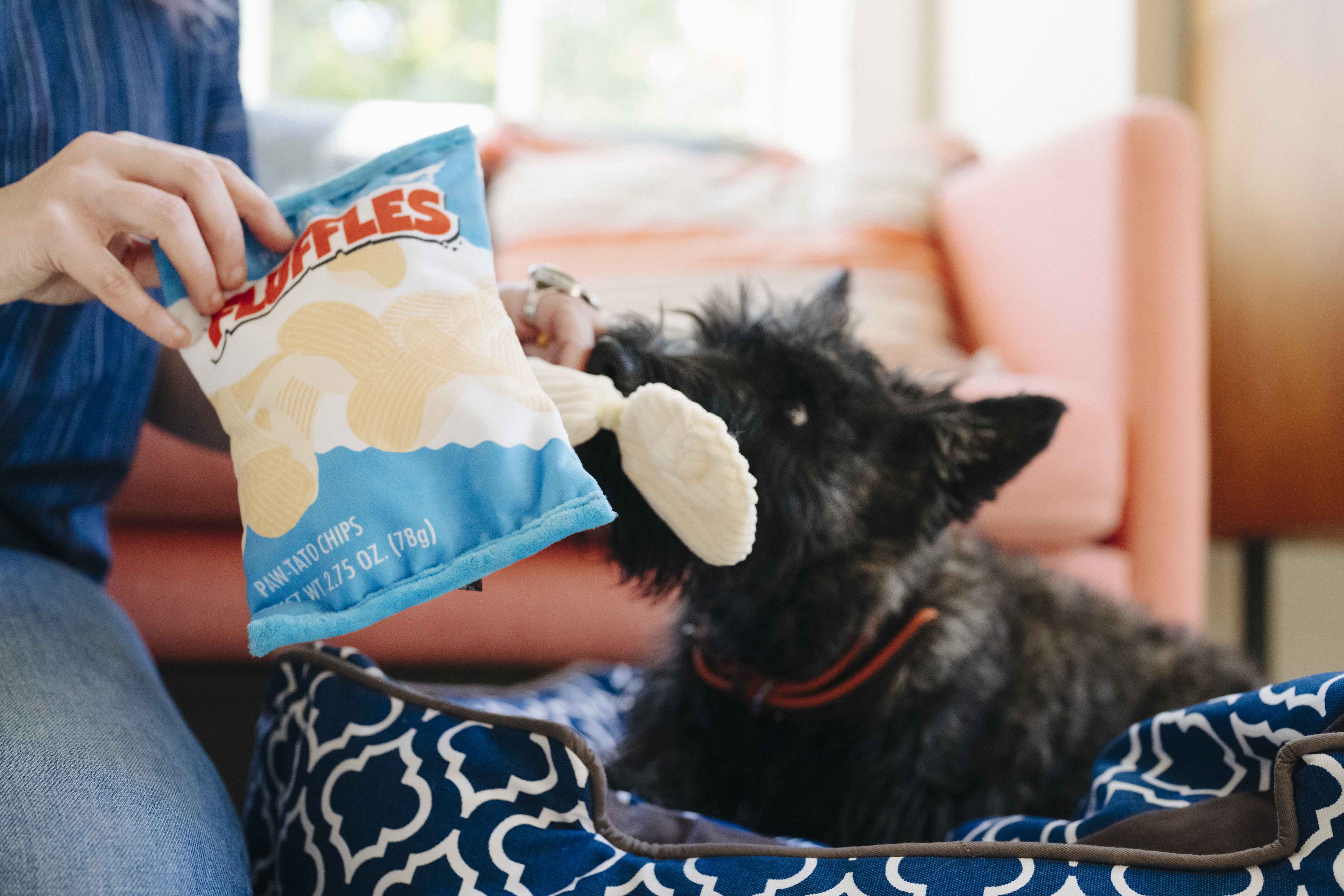 P.L.A.Y. Snack Attack Squeaky Plush Dog Toys Bundle - Fun Interactive Chew Toys for Small & Large Dogs - Perfect for Playtime, Training & Cuddling