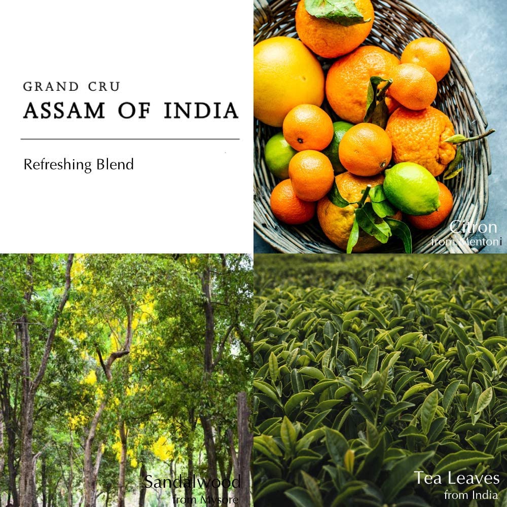 Premium Assam Of India Eau de Cologne 100ml - Luxury Fragrance for Men & Women - Perfect for Daily Wear, Special Occasions & Gifts