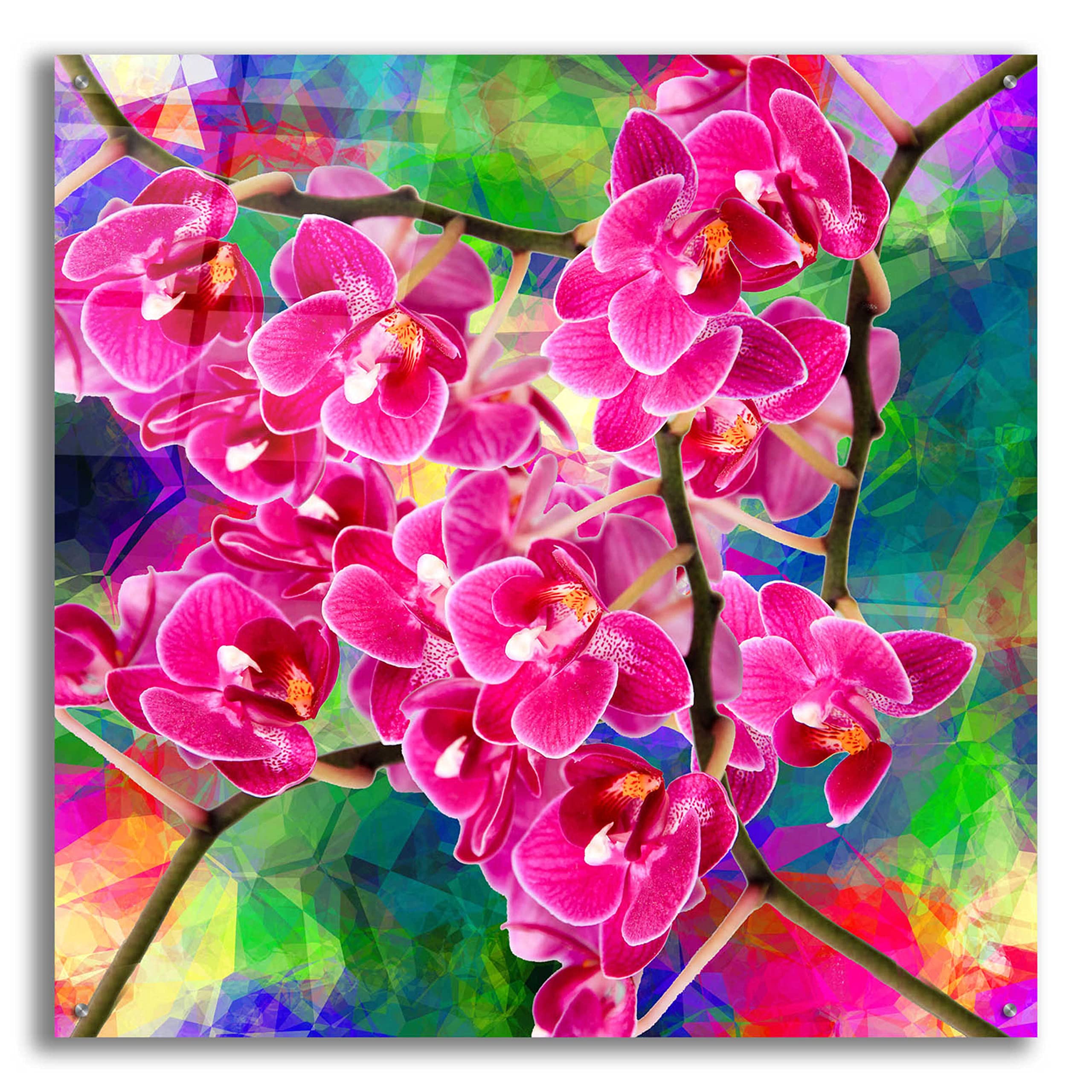 Epic Art 'Flower Spring 2' by Ata Alishahi - Modern Acrylic Glass Wall Art Painting, 36x36 Inches - Perfect for Living Room, Bedroom & Office Decor