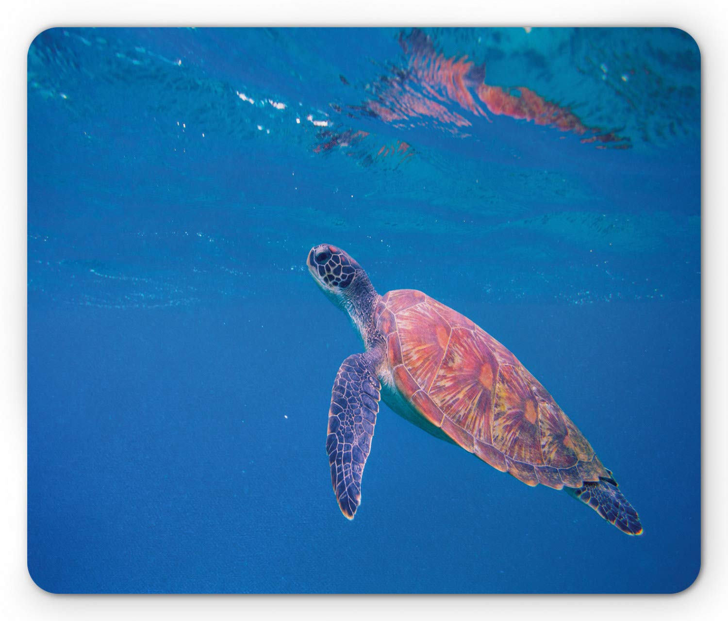 Lunarable Sea Turtle Mouse Pad - Non-Slip Rubber Mousepad with Wild Underwater Nature Photography, Standard Size in Sea Blue & Pale Ruby - Perfect for Office, Gaming & Computer Workstations