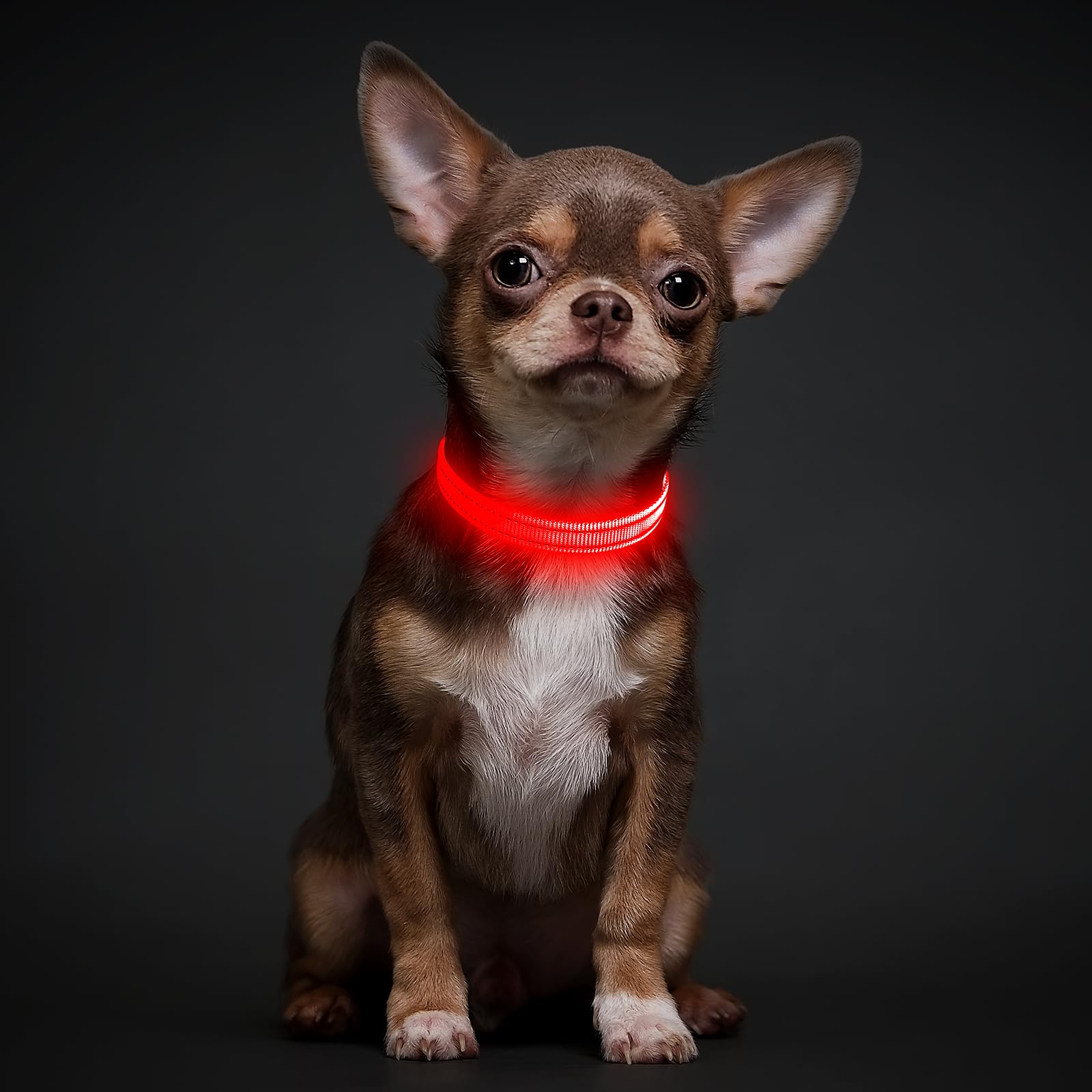 Glow in The Dark LED Dog Collar - Rechargeable & Adjustable Pet Collar for Small Dogs & Cats, Night Safety Light for Walking, Camping, Hiking (Red, X-Small) - Perfect for Evening Walks & Outdoor Adventures