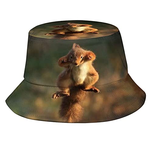Squirrel 05