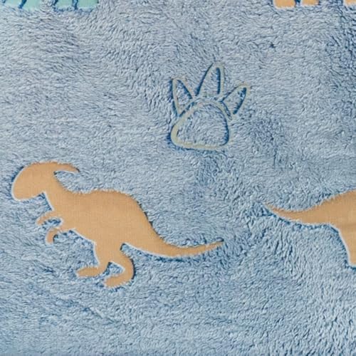 Blue+dinosaur